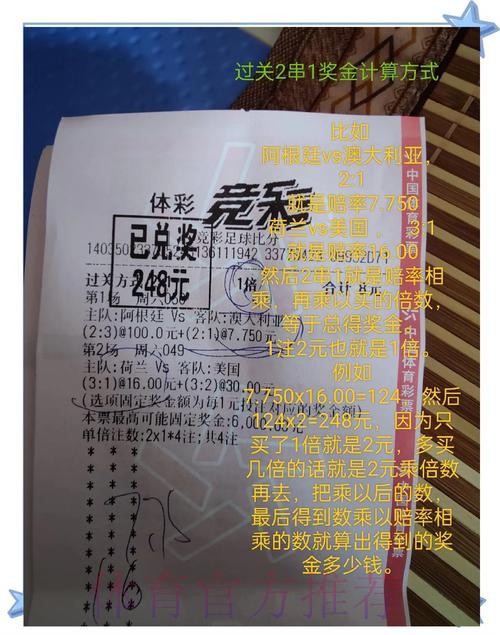 全面解析世界杯投注数据分析