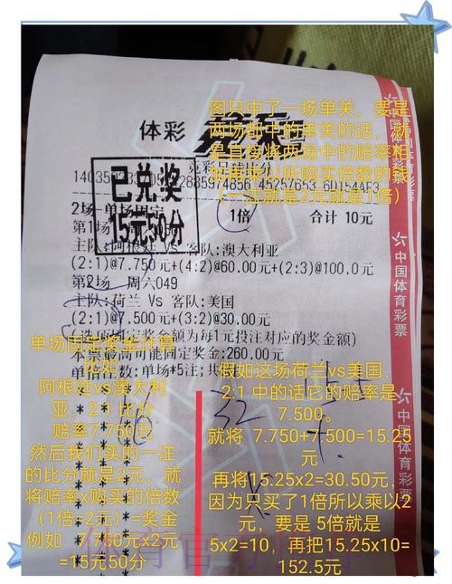 全面解析世界杯投注数据分析